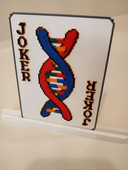 DNA - Balatro