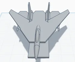 F-14 tomcat
