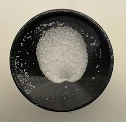 Salt-Shaker refill helper/Salzstreuer Nachfüllhilfe (+OpenSCAD Source)