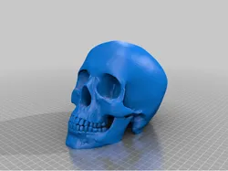 Skull Candle Holder