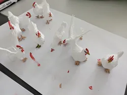 Chicken collection