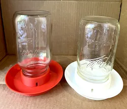 Chicken Waterer