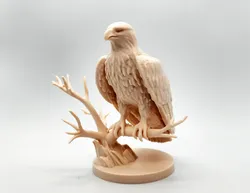 Eagle on Perch