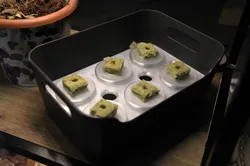 IKEA Uppdatera Grow Box