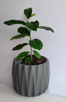 Self Watering Plant Pot
