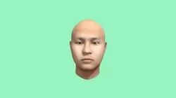 634230028 Head Model