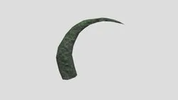 Fossilized bone of animal giants