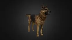German Shepherd Rig