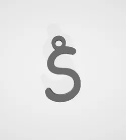 S keychain