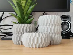 Seashell Collection - Plant pot, vase and bowl - Vase mode design