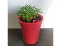 Self-Watering Plant Pot