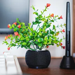 Spherical Desk Planters (2 Designs)