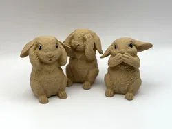 Three Cute Bunnies