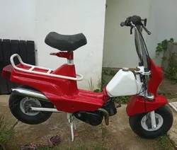 tomos tori