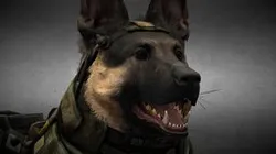 [V2] COD: Riley