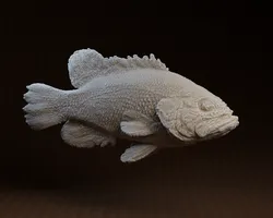 Core One Fish : The Coreoperca