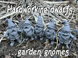 Hardworking dwarfs, gnomes for the garden