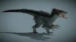 Raptor