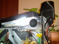 Servo Fish Feeder for Flake Food