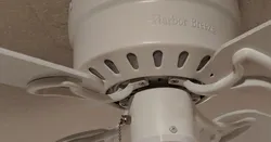 Ceiling Fan - Light Removal Cap