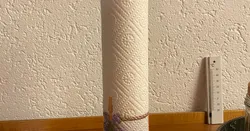 Paper Tower (Brand Unknown)