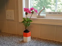 Self-watering Planter 3