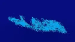 散乱人骨と骨・歯の分布3Dモデル