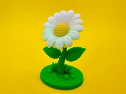 Daisy