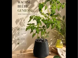 Maceta - Modelo de impresión 3D gratuito