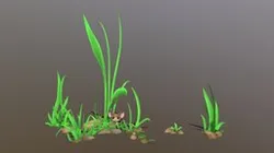 Painted Grass
