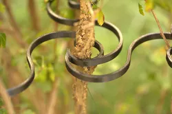 "Susi-Clip" - Gardening Clip System For Plants and Canopy Support