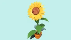 Toon-Style Sunflower