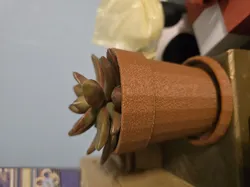 Clay Pot