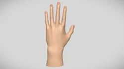 Hand Base Mesh