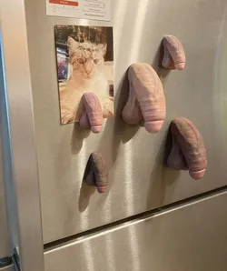Realistic Penis Magnet