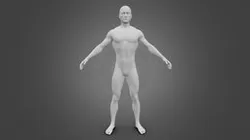 Rigged human low poly model
