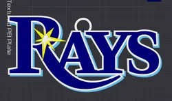 Tampa Bay Rays Oversized Necklace Logo