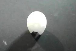 cute ghost