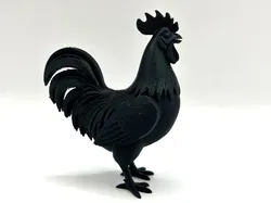 Rooster