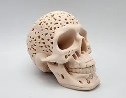 Swiss Cheese Skull