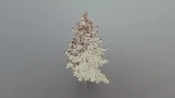 tree sci
