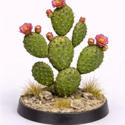 Gratis Home Decorations & Ornaments STL indir - cactus opuntia - Pap88