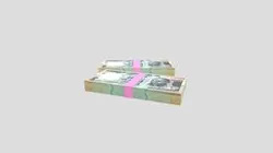 Indian 100 Note Currency Bundle AR VR PBR