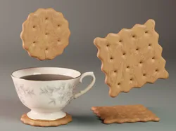 Biscuits Coaster