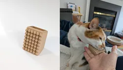 Cat Scritcher