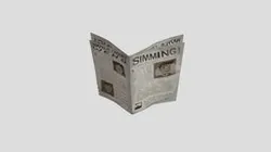 Newspaper