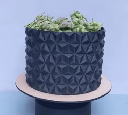 Retro Planter - Vase Mode