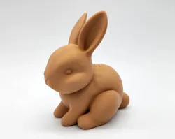 Soft Bunny Rabbit