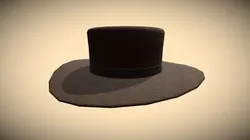 Cowboy Hat