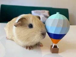 Hot Air Balloon Decoration